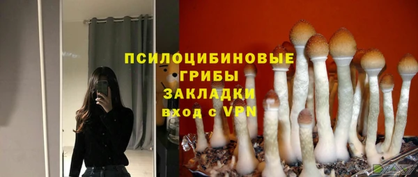 гашиш Арсеньев