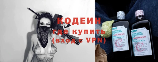 дживик Осинники