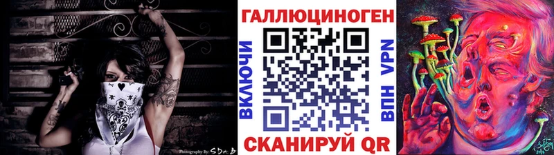 где купить   Новодвинск  Псилоцибиновые грибы Cubensis 